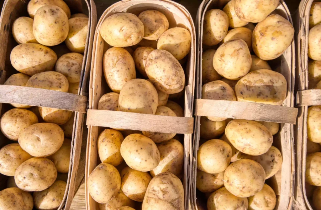potato inside the basket